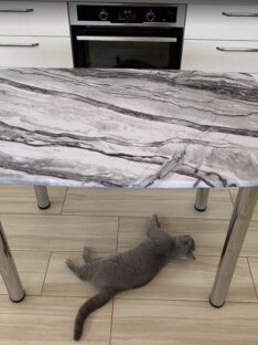 Стол обеденный кухонный форма «евро» 102х69 см высота 77 см