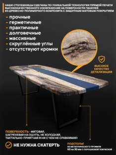 Стол кухонный обеденный евро дизайнерский лофт THETABLE RU 250х100 3.32/2.1