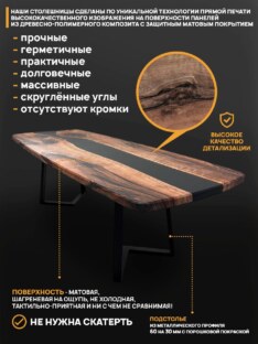 Стол кухонный обеденный евро дизайнерский лофт THETABLE RU 250х100 3.8/1.1