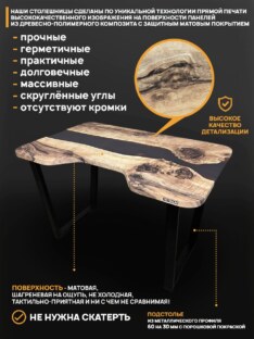 Стол компьютерный с вырезом дизайнерский лофт THETABLE 120х80 3.19/2.1
