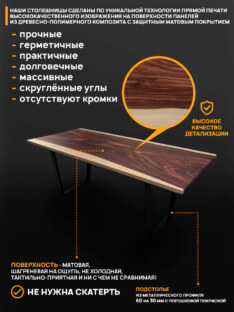 Стол офисный прямоугольный дизайнерский лофт THETABLE RU 250х100 14.1/2.1-П