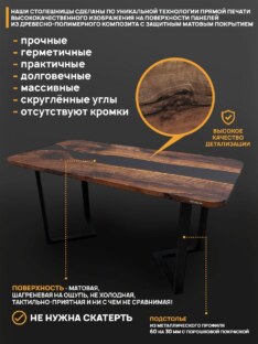 Стол кухонный обеденный прямоугольный дизайнерский лофт THETABLE RU 250х100 3.1/3.1