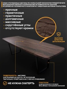 Стол кухонный обеденный евро дизайнерский лофт THETABLE RU 250х100 6.4/2.1