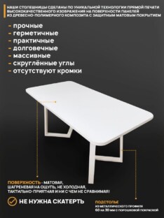 Стол кухонный обеденный прямоугольный дизайнерский лофт THETABLE RU 250х100 2.23/1.2
