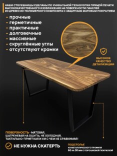 Стол кухонный обеденный прямоугольный дизайнерский лофт THETABLE RU 250х100 8.14/2.1