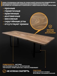 Стол кухонный обеденный прямоугольный дизайнерский лофт THETABLE RU 250х100 8.13/3.1