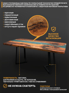 Стол кухонный обеденный прямоугольный дизайнерский лофт THETABLE RU 250х90 3.48/1.1